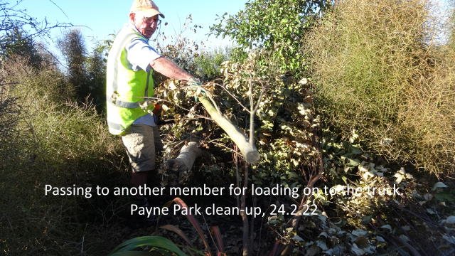 Cyclone Dovi clean-up